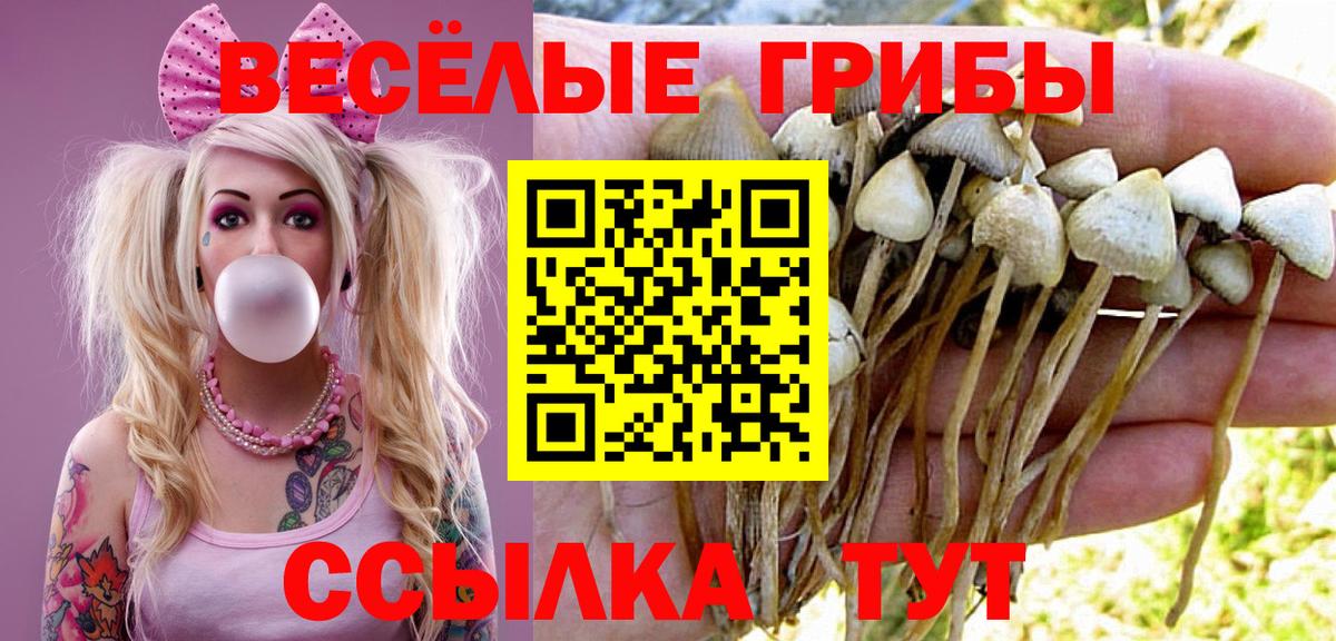 Псилоцибиновые грибы Magic Shrooms Мирный