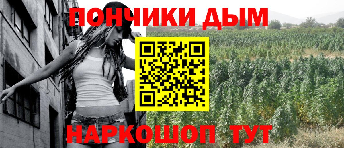Бошки Шишки сатива Мирный